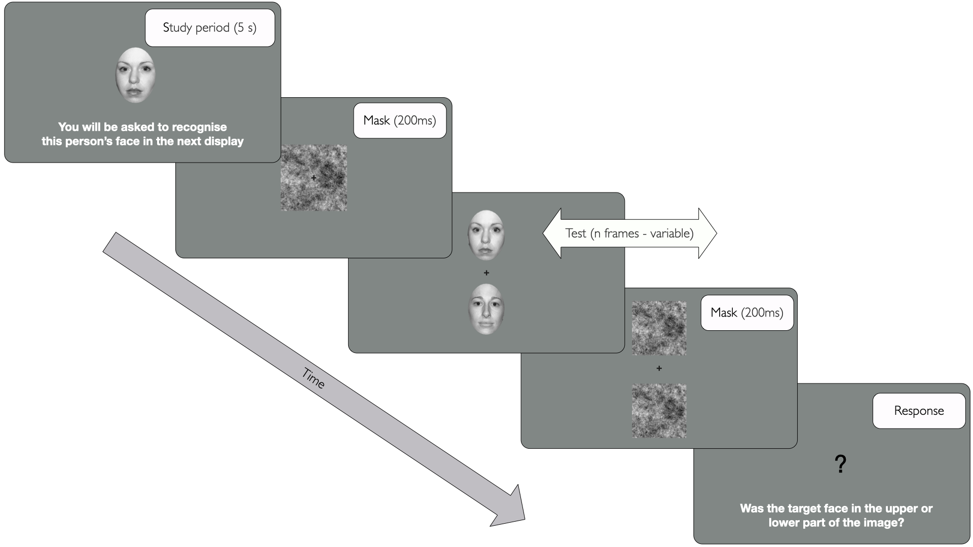 Differences in the Perceptual Processing of Unfamiliar and Familiar Faces